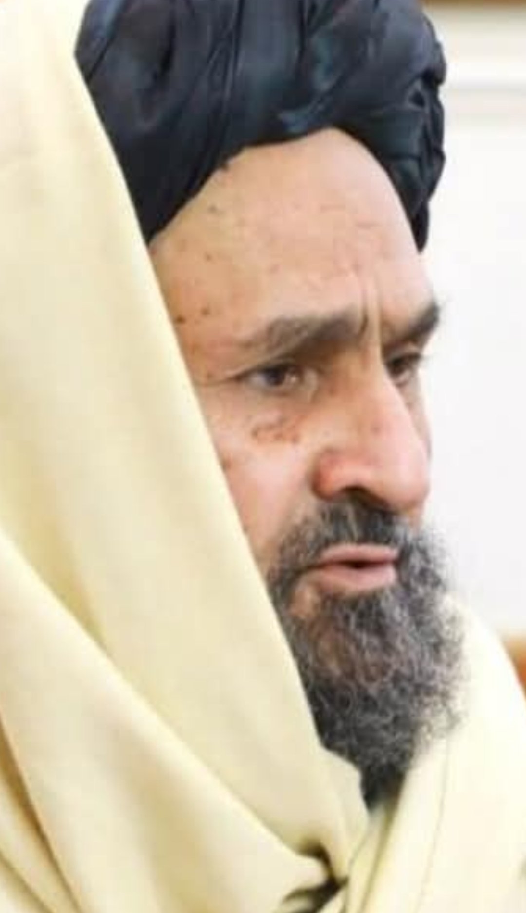 عبدالغنی برادر رسنیوته وینا